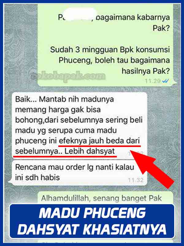 Jual Madu Phuceng Madu Stamina Pria di Banda Aceh